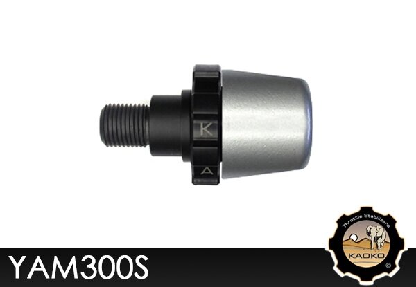 Kaoko YAM300S Cruisecontrol