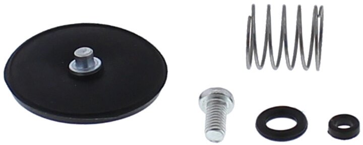 ACCELERATOR PUMP REBUILD KIT 46-3007