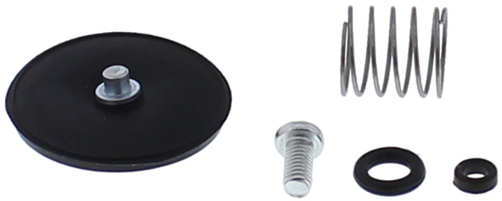 ACCELERATOR PUMP REBUILD KIT 46-3007