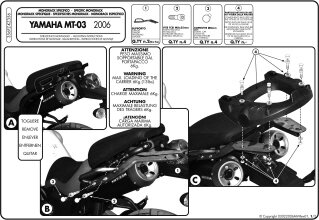 356FZ-SIDE ARMS YAMAHA MT-03 '06