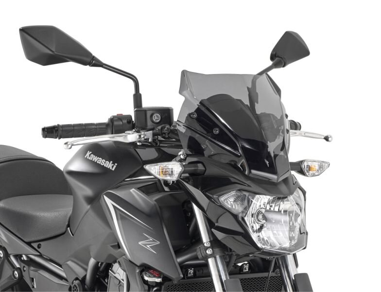 A4117-SCRN, SMOKED 28 X 33 CM KAWA Z650 (17)