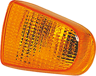 INDICATOR ZZR1100