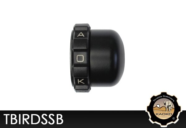 Kaoko TBIRDSSB Cruisecontrol
