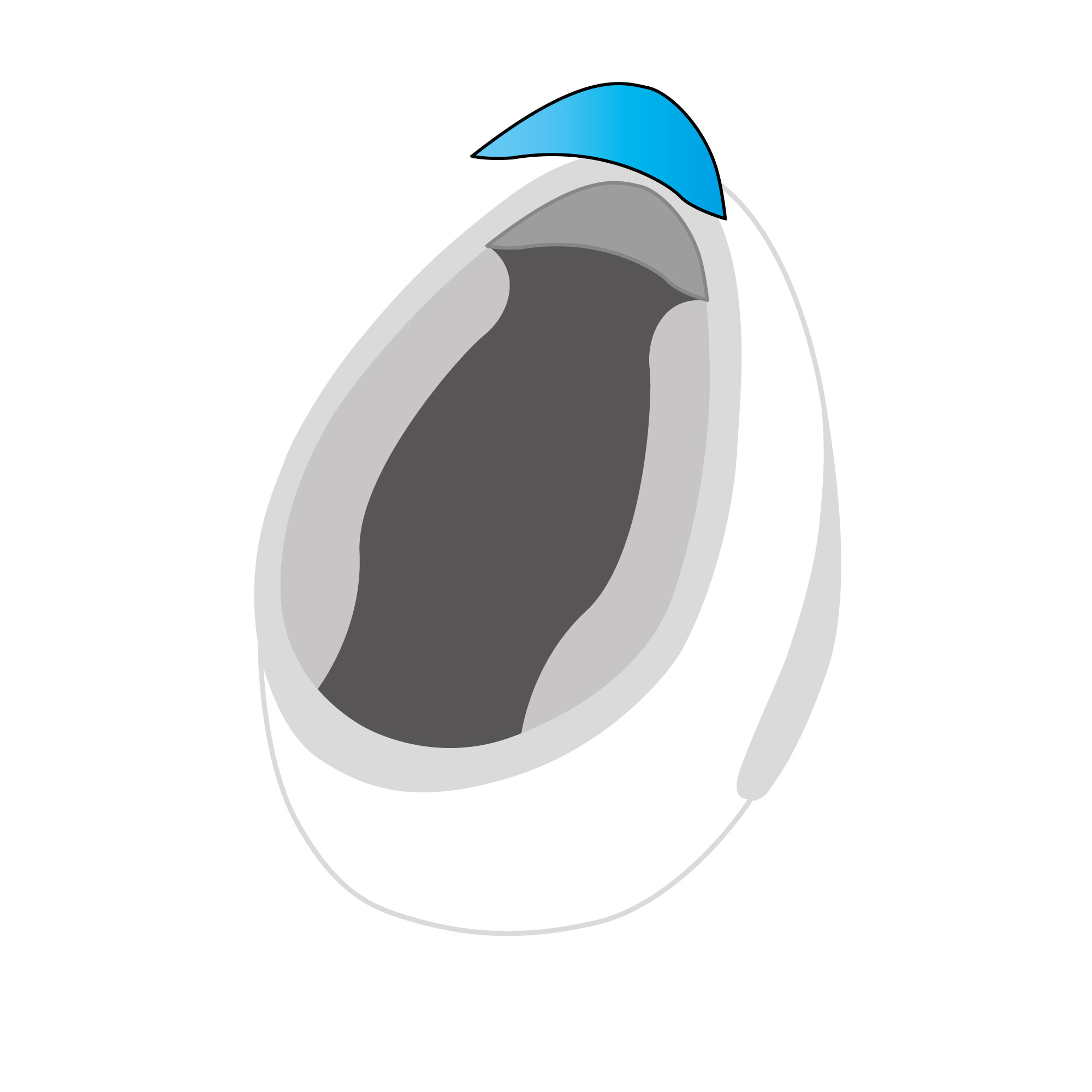 Schuberth Chin Curtain E1
