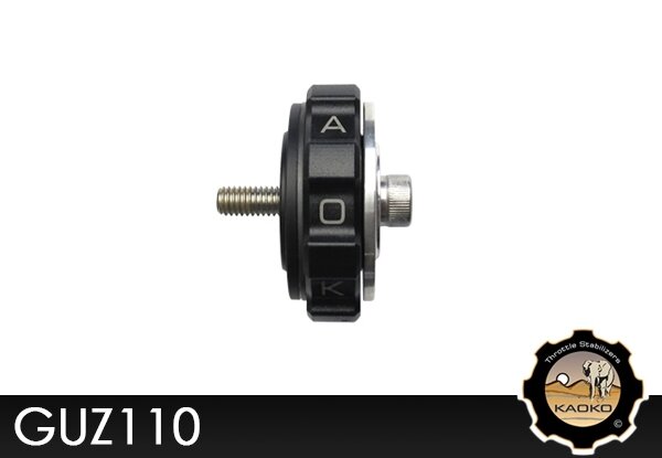 Kaoko GUZ110 Cruisecontrol