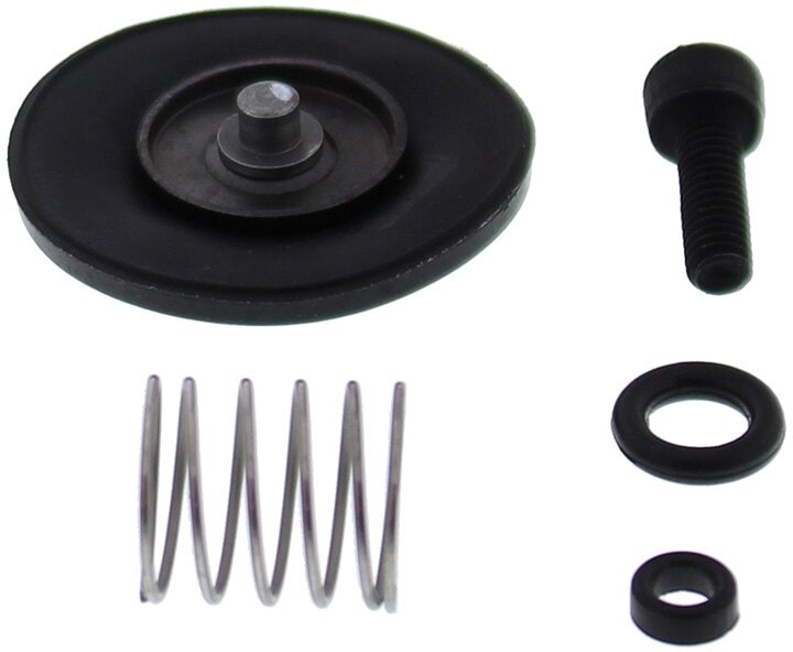 ACCELERATOR PUMP REBUILD KIT 46-3006