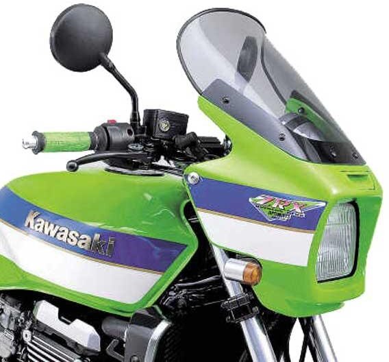 D174S-SPOILER ZRX 1100 97-99