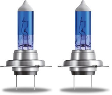 12V 80W H7 PX26D HCB2
