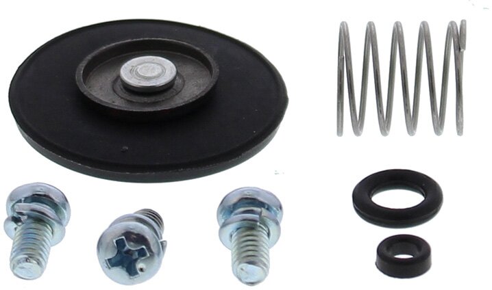 ACCELERATOR PUMP REBUILD KIT 46-3002