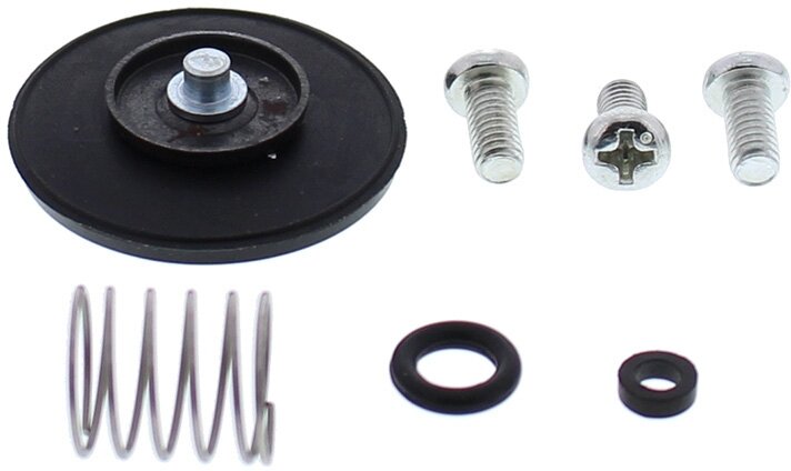 ACCELERATOR PUMP REBUILD KIT 46-3005